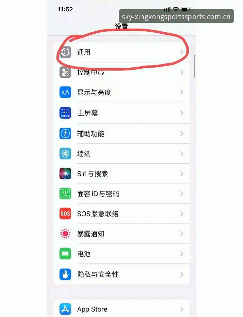最新星空体育iOS版 最新星空体育iOS版安装与数据迁移教程:解决闪退与兼容问题